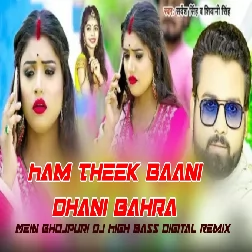 Ham Theek Baani Dhani Bahra Mein Bhojpuri Dj High bass Digital Remix