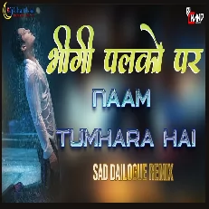 Bheegi Palkon Par Tumhara Hai Dj Remix Sad Dailogue High Bass Remix