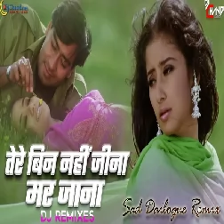 Tere Bin Nahi Jeena Mar Jana Dholna Kachhe Dhaage Dj Remix Sad Dailogue Mix