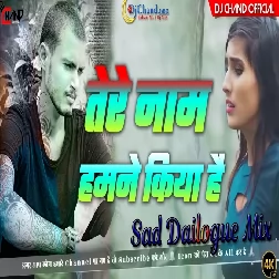 Tere Naam Humne Kiya Hai Jeevan Apna Sad Dailogue High Bass Mix