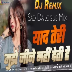 Mujhe Jeene Nahi Deti Hai Yaad Teri High Bass Sad Dailogue Mix