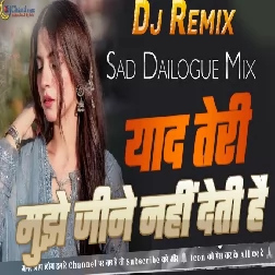 Mujhe Jeene Nahi Deti Hai Yaad Teri High Bass Sad Dailogue Mix