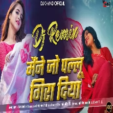 Maine Jo Pallu Gira High Bass Dj Remix Song
