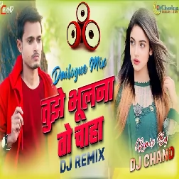 Tujhe Bhoolna To Chaha Lekin Bhula Na Paye  Dj Remix High Bass Sad Dailogue Mix