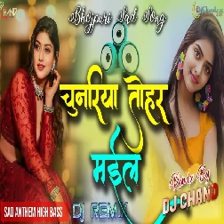 Chunariya Tohar Mail Ye Raam Ji Sad Bhojpuri Song Remix