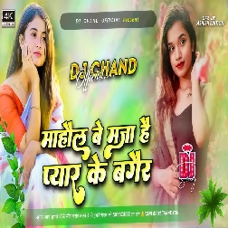 Mohol Bemaza Hai Pyar Ke Bagair  Sad Dailogue High Bass Mix