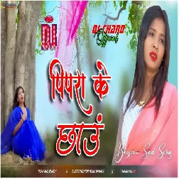 Pipra Ke Chhaon Mein Intzaar  Bhojpuri Sad Song High Bass Mix
