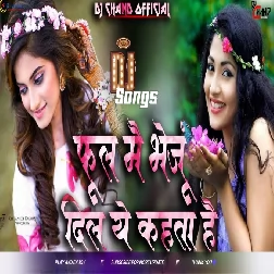 Phool Mai Bhejoon Dil Ye Karta Hai Dj Song Sad Dailogue Mix