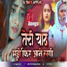 Teri Yaad Mujhe Phir Aane Lagi Hai Jhullur Dada Dj Song Sad Dailogue Mix