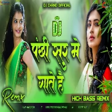Panchi Sur Mein Gate Hain High Bass Electro Dutch mix