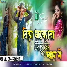 Dil Dhadkata Kehu Ke Pyar Mein 2014 Electro Style Mix
