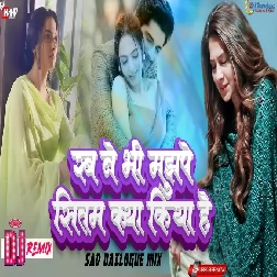 Rab Ne Bhi Mujhe Sitam Kya Kiya Hai High Bass Sasd Dailogue Mix