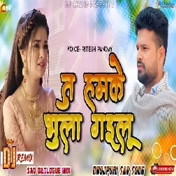 Tu Hamke Bhula Gailu Bhojpuri Sad Song Dj Remix High BASS