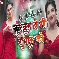 Bulbul Ne Bhi youn Gul Ko Pukara Nahi Hoga Love Dailogue Mix