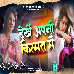 Dekhein Apni Kismat Mein Kanta Hai Ya Fool Hai Sad Dailogue Mix High BASS