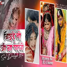Bichhde To Jee Na Payenge Dj Song High BASS Sad Dailogue Mix