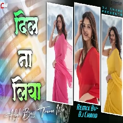 Dil Na Liya High Bass Dj Song