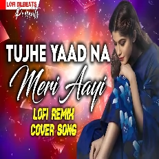 Tujhe Yaad Na Meri Aai Lofi Remix