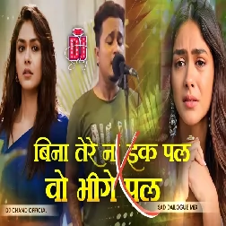 Bina Tere Na Ik Pal Ho x Wo Bheege Pal Sad Dailogue Mix High Bass Dj Song