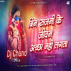 Bin Sajni ke jivan achha nahi lagta High Bass Remix